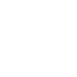 chatbot icon